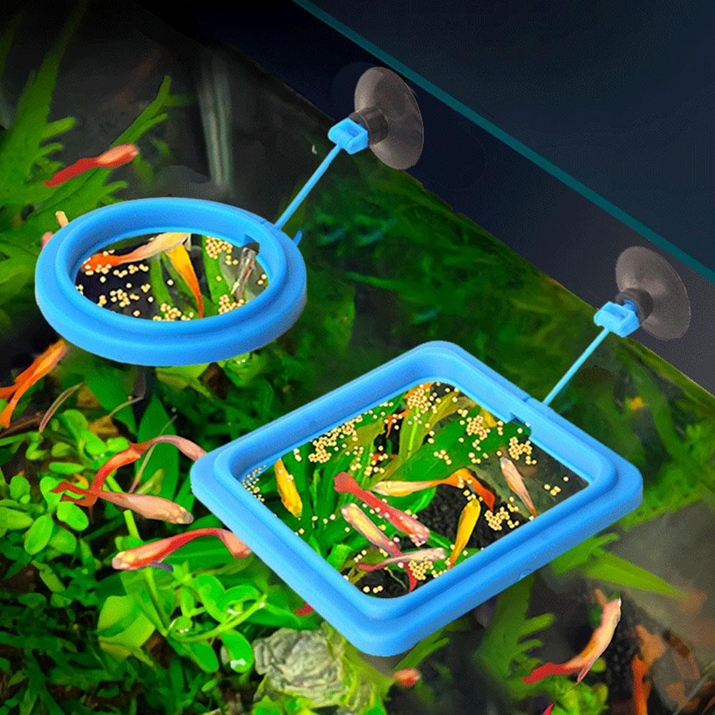 Fish Feeding Ring Feeder Fishi - Tetra Food Tropical Flakes recension och pris