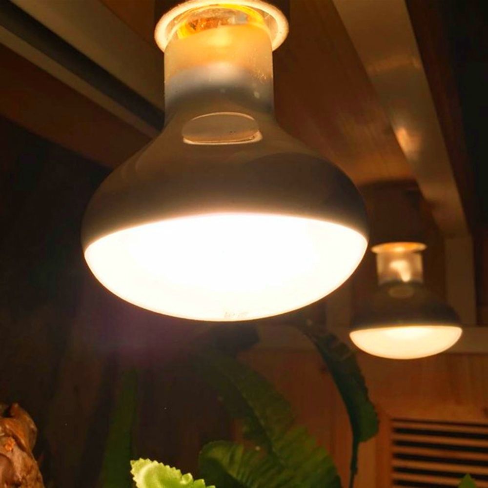 Turtle Heater Heat Lamp Reptil - Basking Bulb Halogen recension och pris