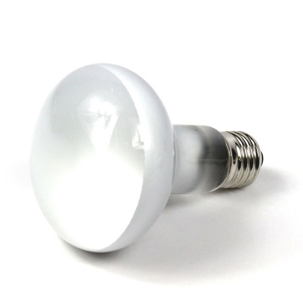 Turtle Heater Heat Lamp Reptil - Basking Bulb Halogen recension och pris